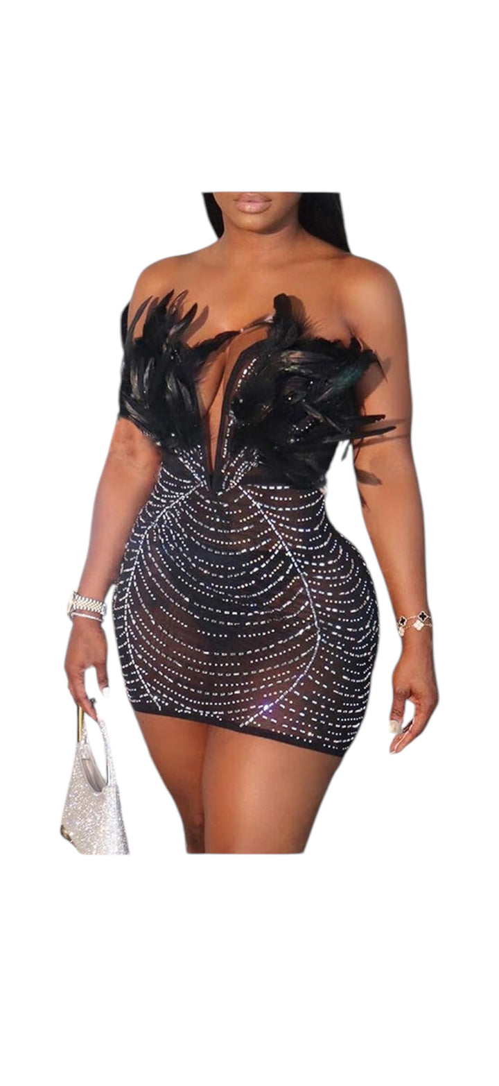 “Starlight Temptation Feather Mini Dress”